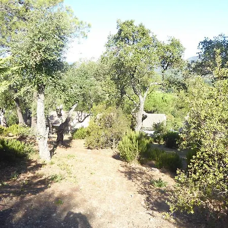 Mit Blick Auf Grimaud